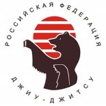 Российская федерация джиуджитсу