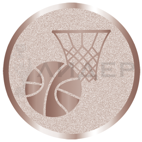вкладыш E50010B_50_баскетбол